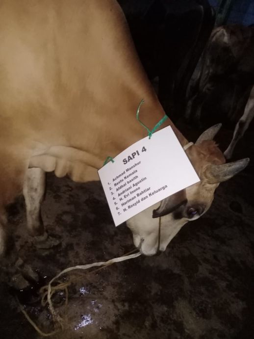 Sapi Qurban Ke 4 Masjid Nurul Masyriq